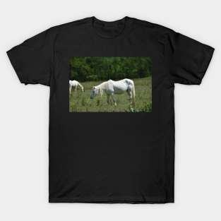 Wild Horse T-Shirt